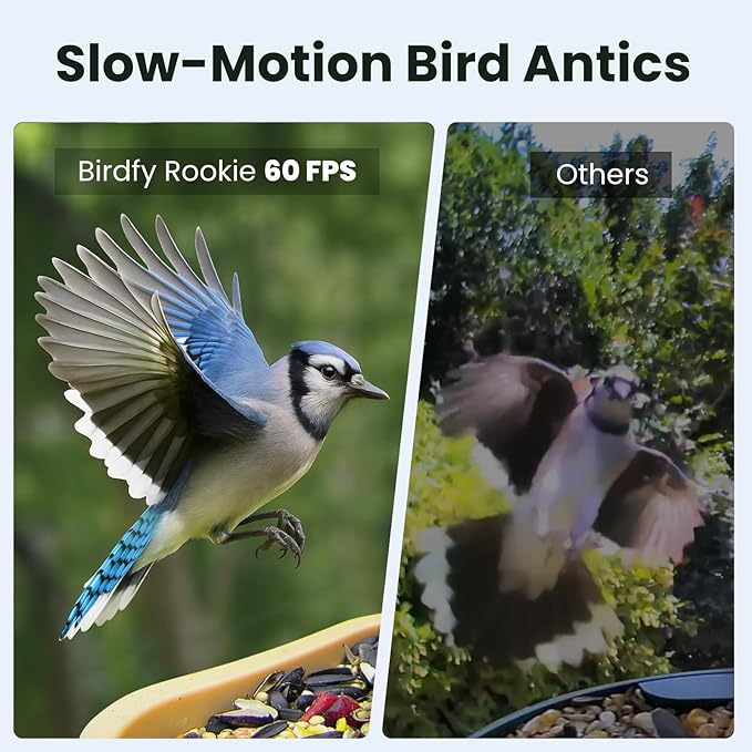 Birdfy Smart Bird Feeder with Camera for Rookie, Camera Bird Feeder Dual Night Vision, AI Recognition IP66 Waterproof for BirdLovers, 1.3L Capacity