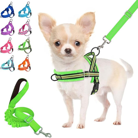 Lukovee No Pull Dog Harness and Leash Set, Soft Padded Small Dog Harness, Neck & Chest Adjustable Reflective Vest Puppy Harness with 4ft Lightweight Anti-Twist Dog Leash for Small Dogs (XXS, Green)