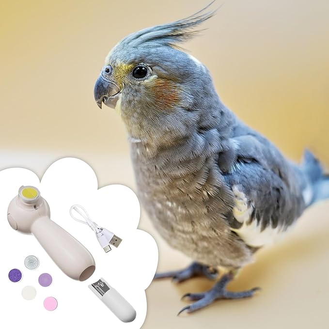 Rechargeable Parrot Nail Trimmer - Quiet Beak Grinder with 6 Heads | Grooming and Trimming Tool for Budgerigars and Birds, Low-Noise Electric Bird Nail File, Gentle Care Tool for Claws and Beaks