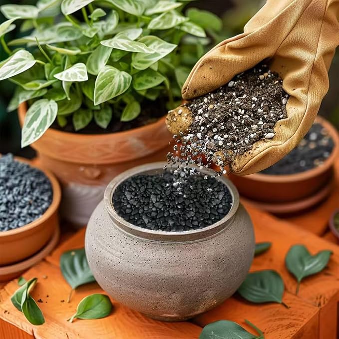 HappyFiller 0.88 LB Black Gravels Small Stones Succulent Mini Rocks | Planter Soil Cover Pebbles,Fairy Garden,Terrarium,Lucky Bamboo,Cactus Topper Dressing Decor,Aquarium Fish Tank Bottom Granule