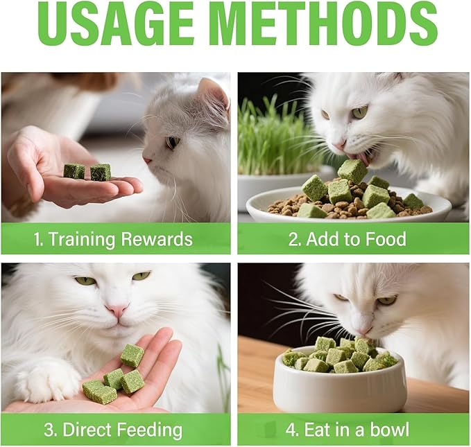 Cat Grass Treats for Indoor Cats | Salmon & Catnip Dental Snacks | Hairball Control & Teeth Cleaning | Freeze-Dried Training Rewards