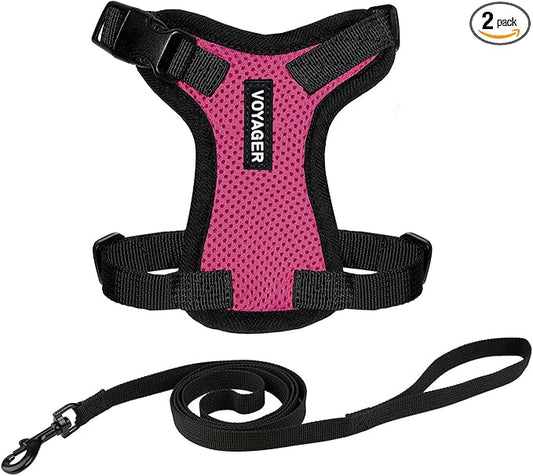 Voyager Escape-Proof Step-in Lock Cat Harness & 5ft Neoprene-Handle Leash Set All-Weather Mesh with Reflective Stitching for Small to Large Cats by Best Pet Supplies, Fuchsia/Black Trim, XXS