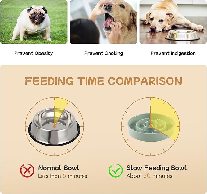 Havniva Ceramic 0.9 Cup Raised Slow Feeder Dog Bowl Set, Elevated 6.1inch Water Bowl and 6.1inch Slow Dish with Wooden Stand for Small Dogs(2 x Light Green+ Stand)