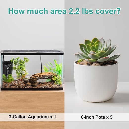 2.2lb Drainage Rocks for Potted Plants, 1/5 Inch Decorative Pea Gravel | Small Pebbles for Indoor Plants, Aquarium, Fish Tank, Succulent, Vases, Terrarium Cactus, Crafts, Bamboo, Mixed Color
