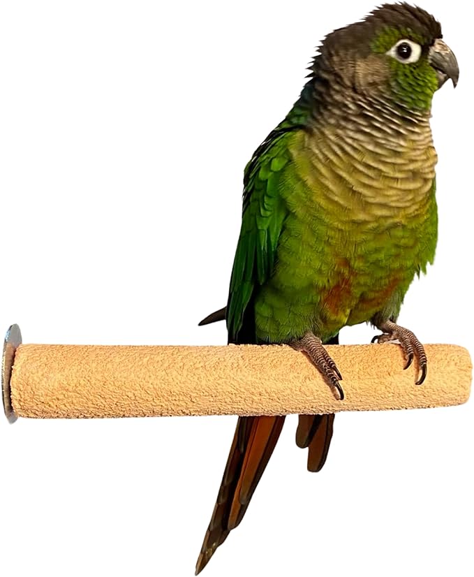 Polly's Pastels Nail Trimming & Beak Conditioning Safety Perch for Cockatiels, Cockatoos, Macaws, Parakeets, Budgies, Parrots and All Other Birds (Coral, Small-1" Dia. x 6" Long)