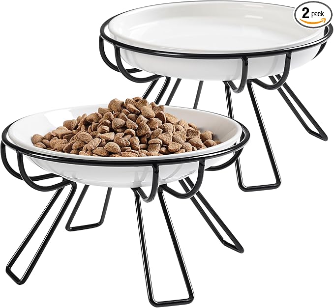 Presents The Ultimate Cat Dining Set: 5.9 inch Ceramic Water Bowl and Whisker-Friendly and Anti-Vomiting Plates.Elevated Bowl, Raised Ceramic Dish with Metal Stand