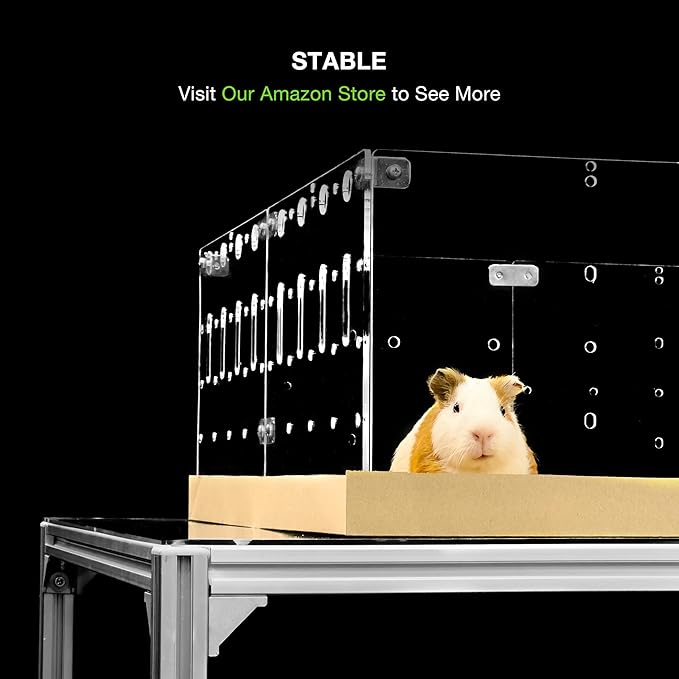 GuineaLoft™ Model-A2 Acrylic Guinea Pig Cage w/Translucent Gauze Lid, Supporting Beams & Connect/Roaming Doors - Large 4x2ft Expandable C&C Cage, Works Also for Bunnies, Button Quails, Hedgehogs