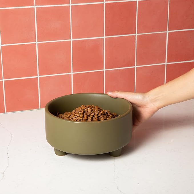 Waggo Uplift Ceramic Dog Bowl for Small Medium and Large Breeds - Heavyweight and Durable Pet Food and Water Dish Crock, Dishwasher Safe, Modern, Elevated Feeder (Olive, Medium)