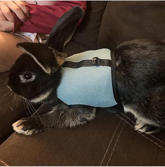 Rabbit Harness and Leash,Guinea Pig Escape Proof Bunny Harness and Leash Set, Cute Bunnies Vest Clothes Stuff Walking Ferret Kitten Puppy Small Pet Animals,Red M