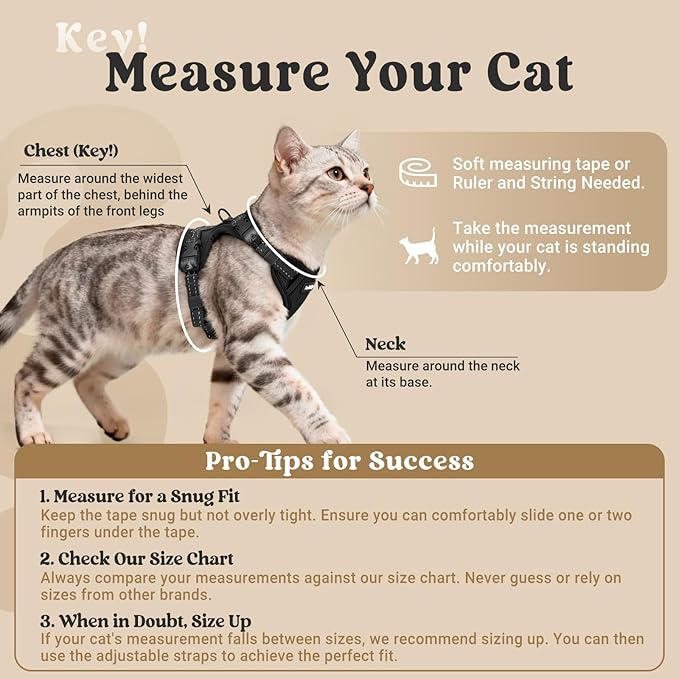 rabbitgoo Cat Harness and Leash, Escape Proof Vest with 3 Adjustable Buckles, Soft Comfortable Kitten Harness, Easy to Wear, Reflective for Safe Outdoor Walking, Small, Black