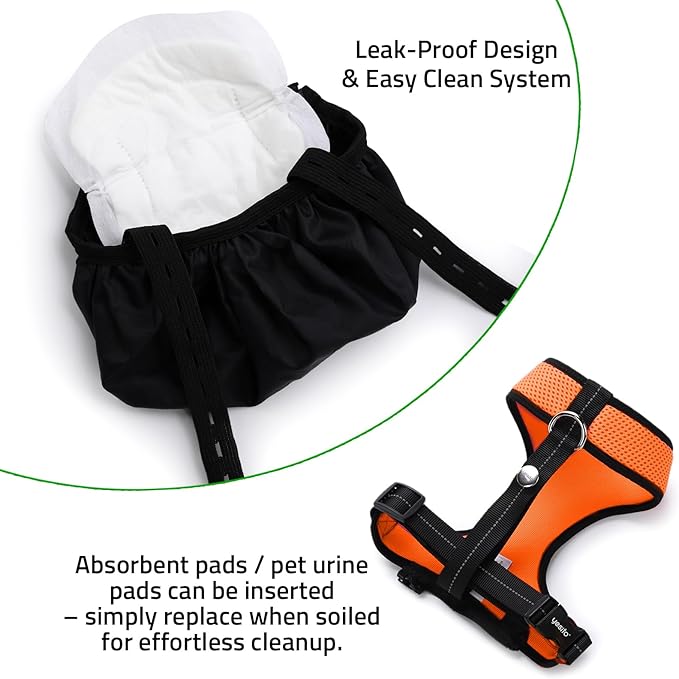 Adjustable Chicken Harness Diaper (5.4ft Leash) – Breathable & Washable Secure Training for Hens, Ducks & Chicks | Outdoor Walking & Discipline Solution