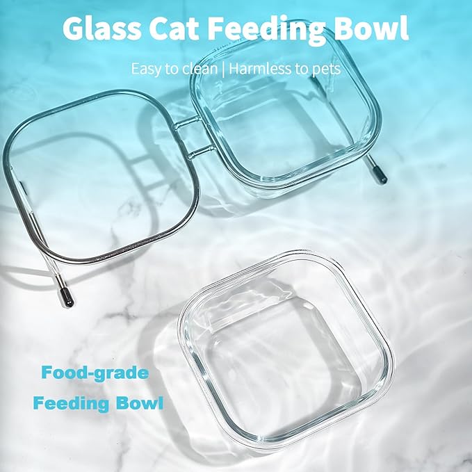 Hannadepot Elevated Cat Bowls, 15° Tilted Glass Raised Cat Food Bowl with Stainless Steel Stand, 2 Large Capacity Glass Cat Bowls and 4 Anti Slip Feet, Suitable for Cats and Little Dogs