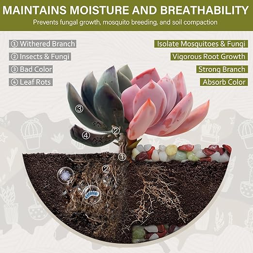NUPICK 3 lbs Pebbles for Indoor Plants, 3/8 Inch Pea Gravel for Fish Tank, Polished Decorative Rocks for Succulent, Natural River Stones for Vases, Cactus, Landscaping, Bird Bath, Colorful Mixed