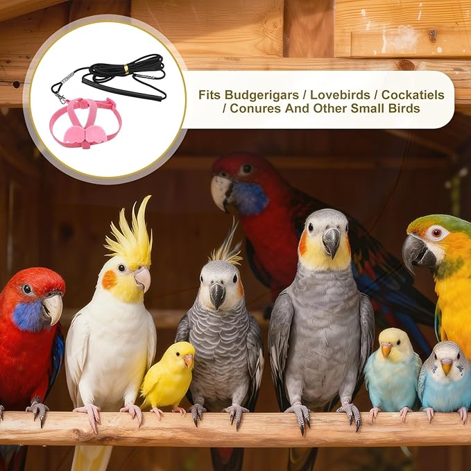 Bird Harness Leash, Adjustable Pet Parrot Bird Harness and Leash Lightweight Anti-Bite Flight Training Rope with Cute Wing, (Pink, S), Intended for Parrots/Pigeons/Budgies