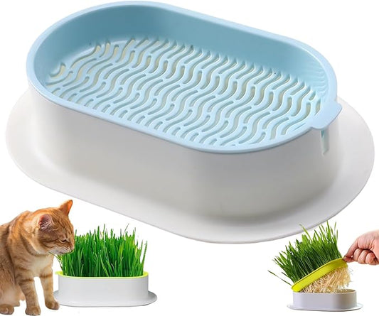 Cat Grass Planter (No Seeds Included) Hydroponic Wheatgrass Planting Trays Cat Grass Growing Kits for Indoor Cats Soilless Organic Nursery Box Pet Grass Pot (Blue)