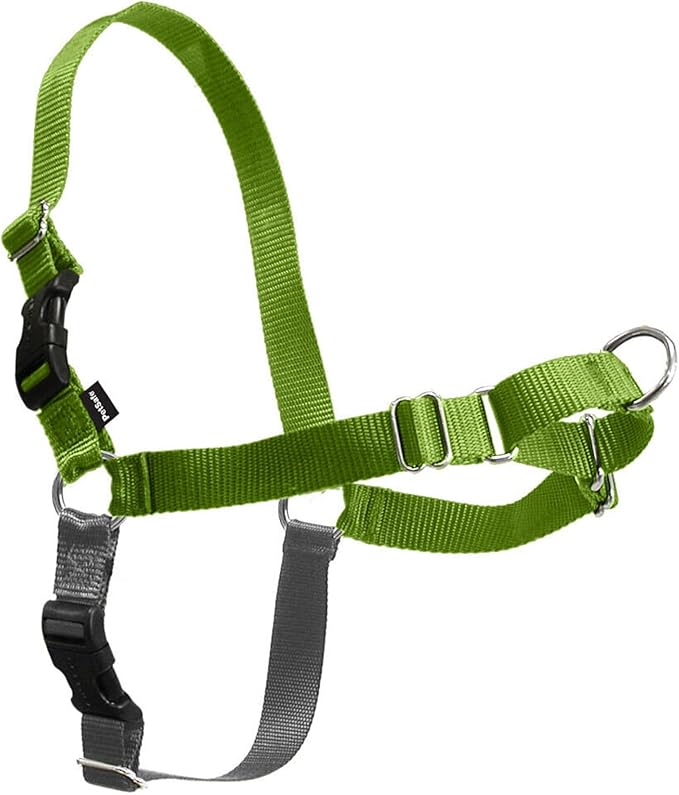 PetSafe Easy Walk Harness for Dogs - Pull-Free Walks - Patented Martingale Loop Design - Front Chest Leash Attachment - Comfort Straps - Breathable Harness Design - Small/Medium, Apple Green/Gray
