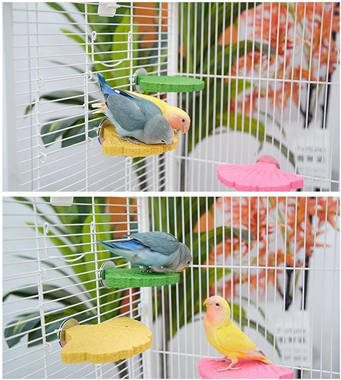 Bird Perch Stands Parrots Calciums Perch Beak Grinding Stone Foot Claws Trimmer Parakeet Platform Parrots Chewing Toy