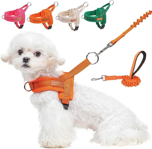 BEAUTYZOO Dog Harness for Small Dogs, No Pull Dog Harness and Leash Set, Soft Escape Proof Puppy Vest Harness with Handle, Reflective Lightweight Step in Harness for Girl Boy Dogs, Orange XS