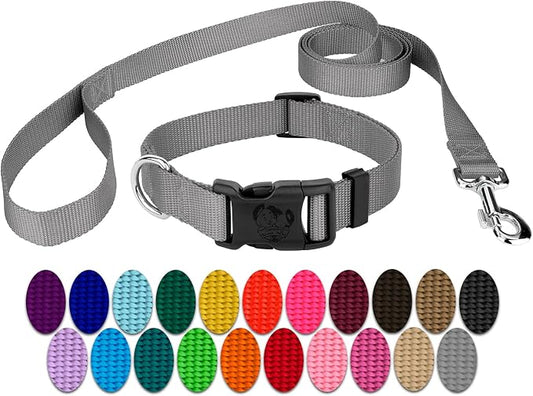 Country Brook Petz - Everyday Nylon Dog Collar and Leash - 10+ Cool Colors (3/8 Inch, Extra Small, Silver)