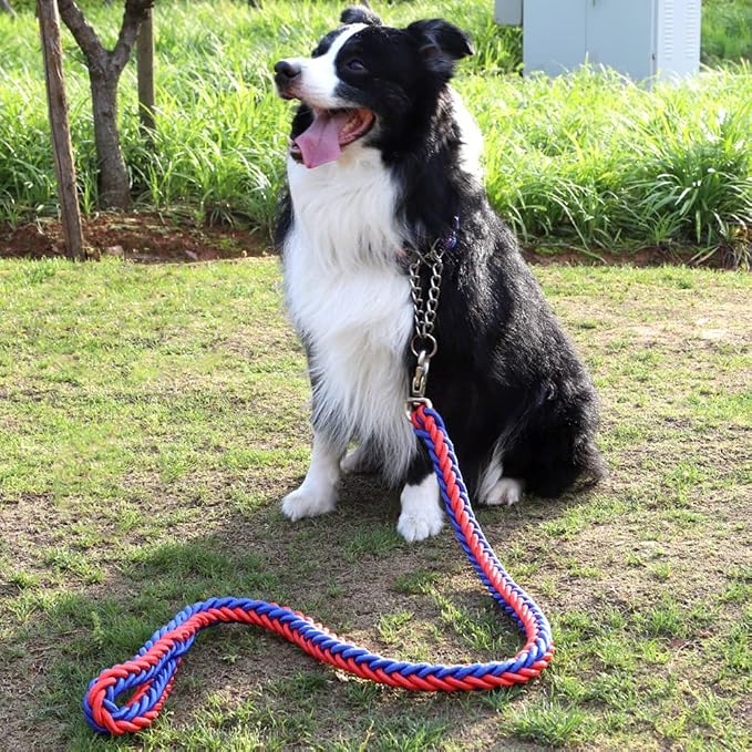 Love Dream Dog Collar and Leash Set, Heavy Duty Nylon Braided Rope Strong 4 FT Dog Leash and Martingale Training Collar for Small Medium Large Dogs Training and Walking (Blue & Red)