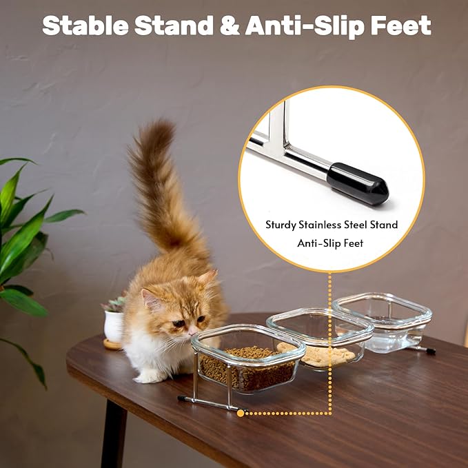 Hannadepot Elevated Cat Bowls, 15° Tilted Glass Raised Cat Food Bowl with Stainless Steel Stand, 3 Glass Cat Bowls and 4 Anti Slip Feet, Suitable for Cats and Little Dogs