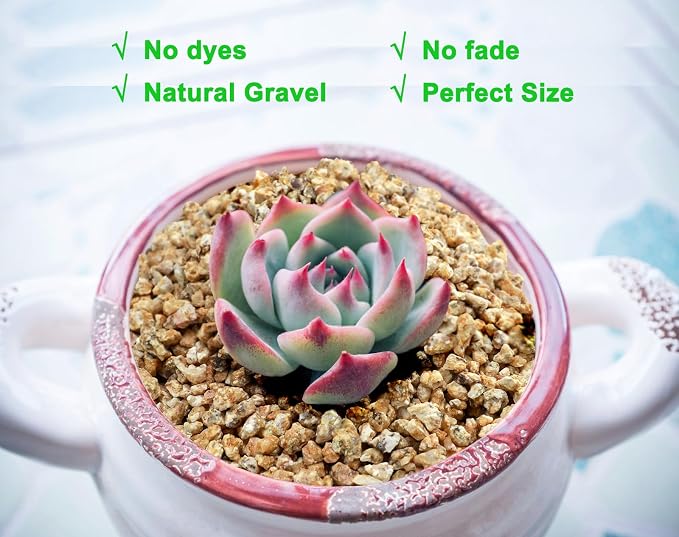 Boniosz 2lb Succulent and Cactus Maifanitum Stones, Décor & Additive Rocks,DIY Rocks Gravel for Bonsai, Fairy Gardening, Vases Fillers, Terrarium
