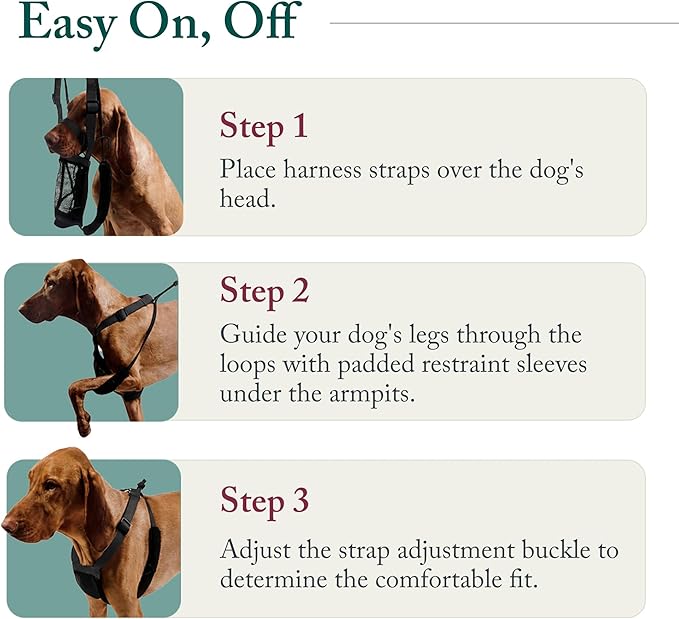 Sporn No Pull Dog Harness, Durable Nylon Mesh Harness for Medium Dogs, No Choke Design, Padded Restraint Sleeves, Adjustable Fit, Easy On/Off, Ideal for Medium Breeds, Red