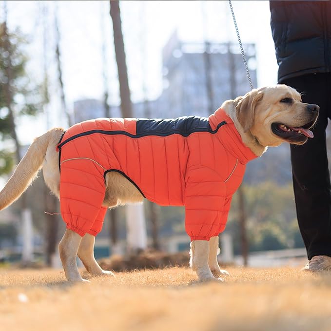 Lovelonglong Warm Jacket - 4 Legs Covered Waterproof Windproof Reflective Vest, Zippered Adjustable Outdoor Snow Jacket for Small Medium Large Dogs, Orange XXL