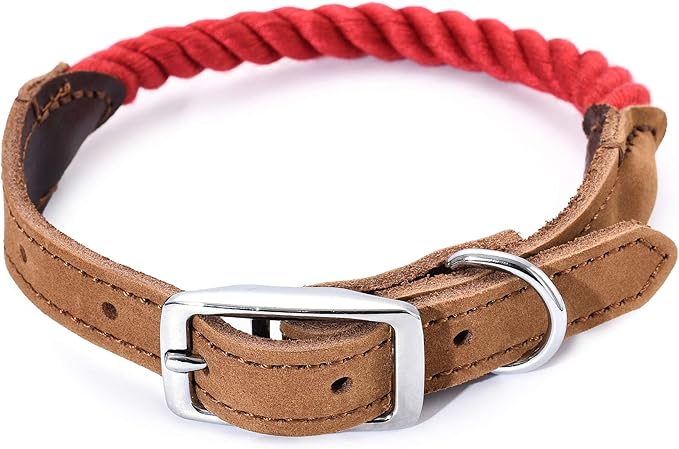 Mile High Life Genuine Leather Dog Collar, Durable Braided Cotton Rope Collar with Metal Pin Buckle for Small Medium Large Dogs (Red, S Neck 11"-15")