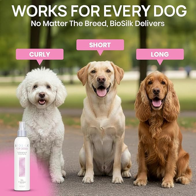 BioSilk for Dogs Silk Therapy Detangling and Shine Protecting Spray, pH Balanced Leave-in Mist with Silk and Vitamins for Dematting, Paraben-Free, All Coats and Breeds, 8 Fl Oz - 6 Pack