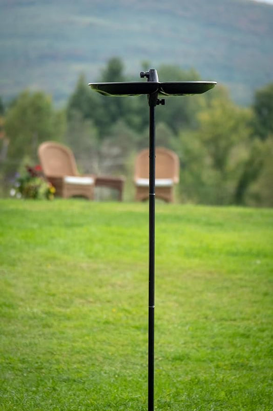 BirdsUP Bird Feeding Kit with Seed Catcher Tray and Single Pole, Reduces Fallen Seed Mess, Attracts Ground Feeding Birds, Easy to Clean Outdoor Design