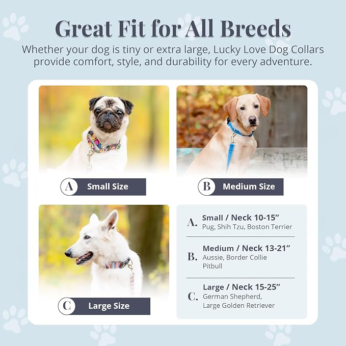 Lucky Love Dog Martingale Dog Collar - Adjustable, No-Slip, Durable, & Soft Webbing Collar for Male and Female Dogs Ideal for Training & Walking - Primrose, Large