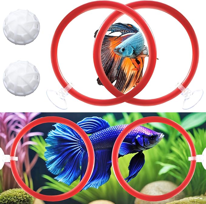 Betta Fish Toys - 4 Training Rings & 2 Bio Filter Balls, Beta Exercise Loop Toys and Nitrifying Balls Set, Betta Fish Tank Accessories Feeding Ring for Small Tank Decor Aquarium Water Conditioner