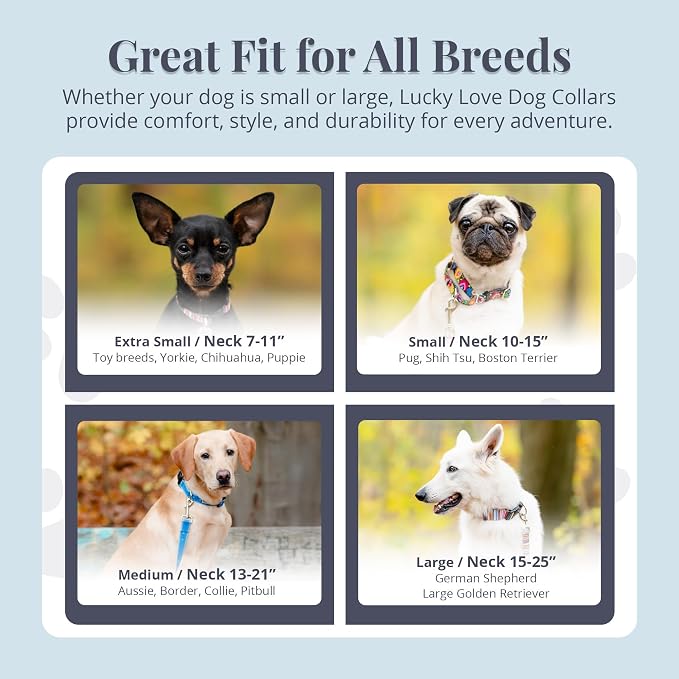 Lucky Love Dog Martingale Dog Collar - Adjustable, No-Slip, Durable, & Soft Webbing Collar for Male and Female Dogs Ideal for Training & Walking - Ladybird, Large