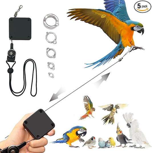 Retractable Bird Leash,Parrot Flying Rope,Anti-Bite Wire Rope Parrot Leash,Adjustable Bird Harness for Training,with 5pcs Alloy Foot Rings,for Budgies,Cockatiels,Crested Cockatoo,Macaws,20ft