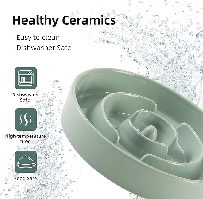 Havniva Ceramic 3.2 Cup Slow Feeder Dog Bowl for Large Dog, 9.5inch Puzzle Food Dish, Anti-Gulping, Stop Bloat, Preventing Choking (Single Bowl-Light Green)