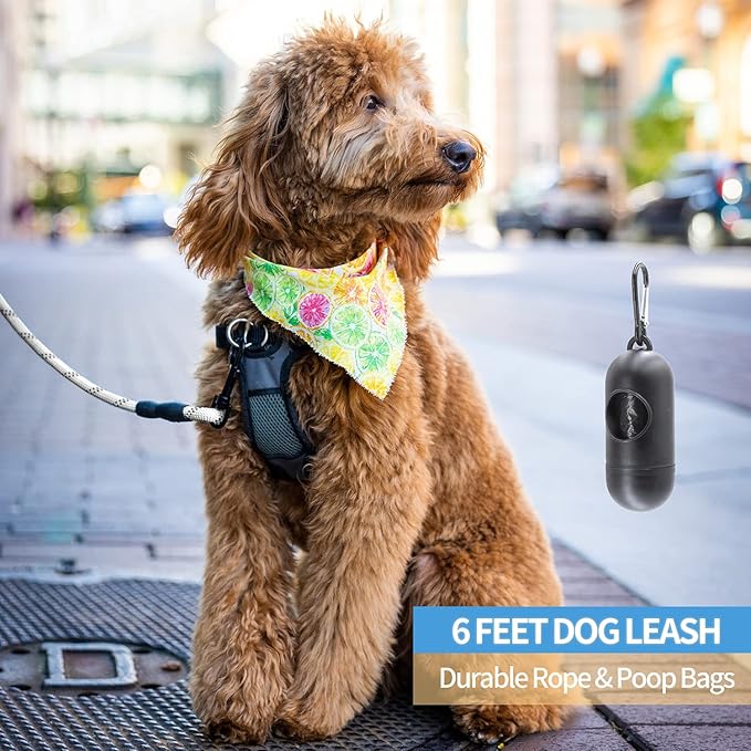 BAAPET 2/4/5/6 FT Dog Leash with Comfortable Padded Handle and Highly Reflective Threads for Small Medium and Large Dogs (6FT-1/2'', Silver)