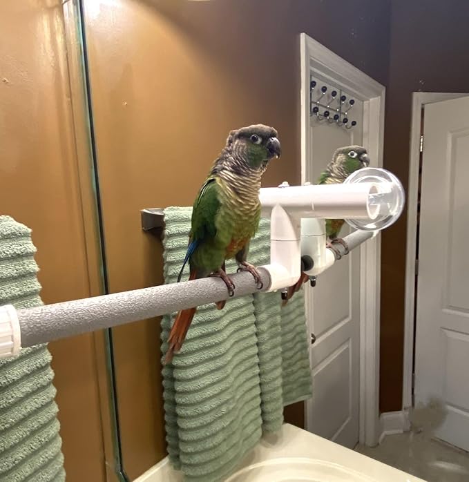 Polly's Portable Window-Shower Perch with Suction Cups for Cockatiels, Macaws, African Greys (Deluxe, Small)