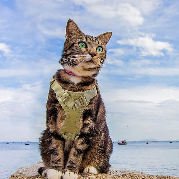 Tactical Cat Harness Escape Proof for Walking with Personalized Patches - Adjustable Cat Harness 8-20lbs Escape Proof - Soft Vest for Large Kitty with Optional Leash (Green)