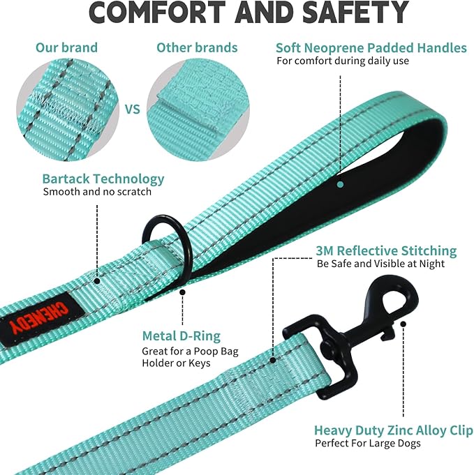 Heavy Duty Dog Leash With Double Handle - Reflective Training Lead for Medium to Large Breeds (5FT, Lake Blue)