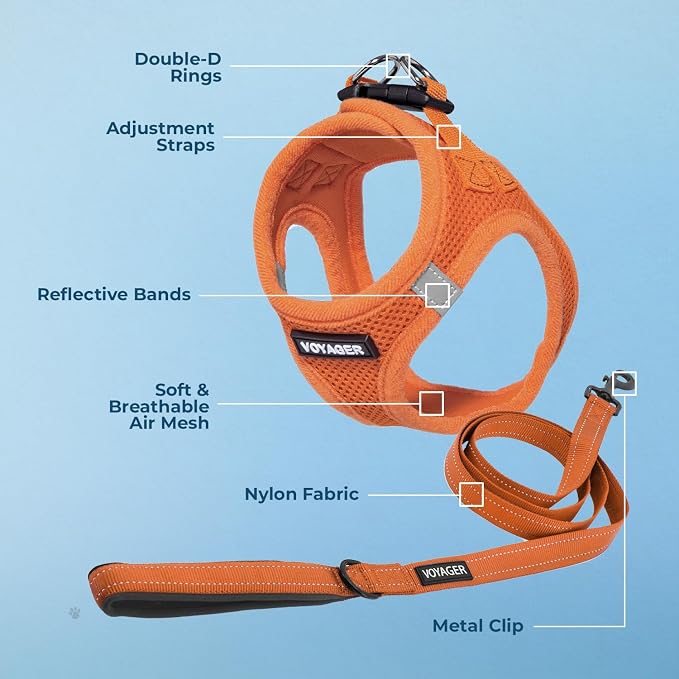 Best Pet Supplies Voyager Step-in Air All Weather Mesh Harness and Reflective Dog 5ft Leash Combo with Neoprene Handle, for Small, Medium and Large Breed Puppies - Orange, Large