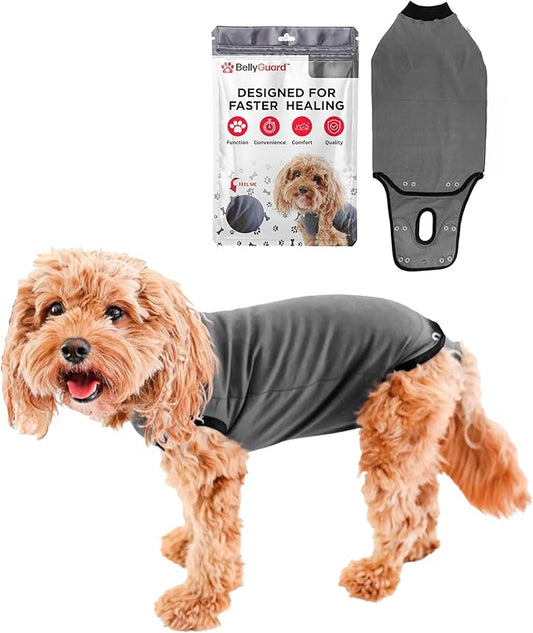 BellyGuard Dog Surgery Recovery Suit, Dog Onesie for Post-Op Care, Recovery Apparel for Female and Male, Surgical Body Cover for Canine Healing Support