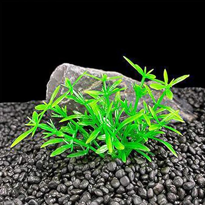 Aquarium Plant Fish Tank Decoration 20 Pieces Small/1" Tall Plastic Artificial Plant Goldfish Hidden Mini Grass Set (Green-A)