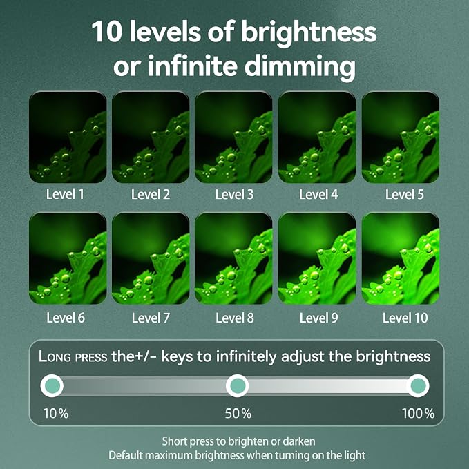 Clip On Aquarium Light with Timer,Aquarium Lights with 3 Color Light Switching for Under 8 Gal Fish Tank,USB Full Spectrum Aquarium Light with Adjust Brightness