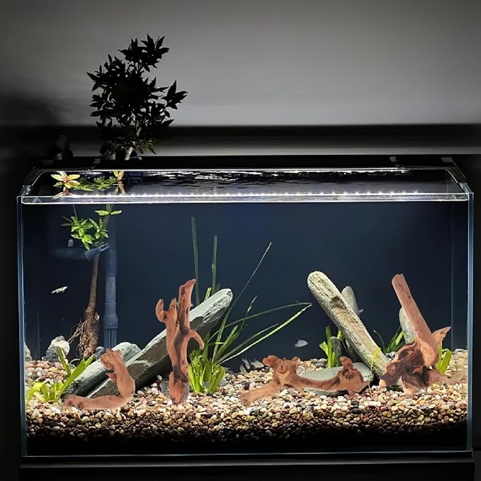 Toddmomy Aquarium Driftwood 4 Pc Set Fish Tank Decorations for Freshwater Aquascaping Small Aquarium Decor Natural Wood for 7.48 X 3.54 X 3.14 in