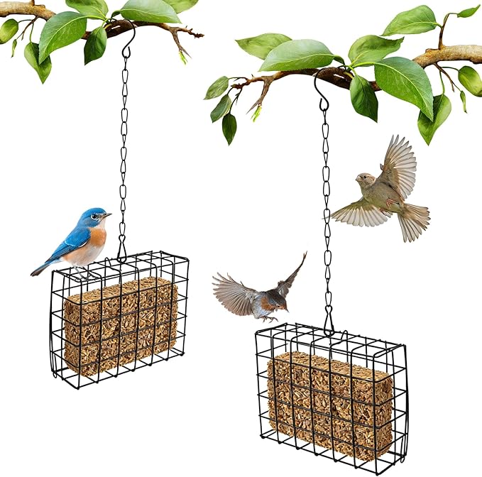2Pcs Outdoor Suet Cage Bird Feeder, Suets Hanging Bird Feeder fo Attracting Birds, Single Suet Cake Capacity, Fruit Holder Style for Garden Yard Outside Hanging
