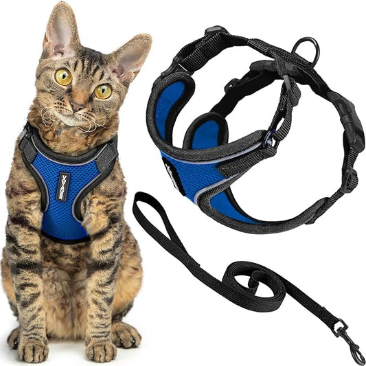 Voyager Escape-Proof Step-in Lock Cat Harness & 5ft Neoprene-Handle Leash Set All-Weather Mesh with Reflective Stitching for Small to Large Cats by Best Pet Supplies, Black Trim-Royal Blue (327), XXS