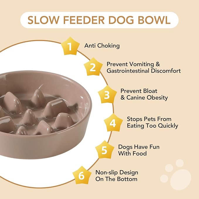 Havniva Ceramic 1.2 Cup Raised Slow Feeder Dog Bowl Set, Elevated 6.1inch Bowl and 7.3inch Slow Pet Food Dish with Wooden Stand for Small and Medium Dog (2 x Brown Coffee+ Stand)