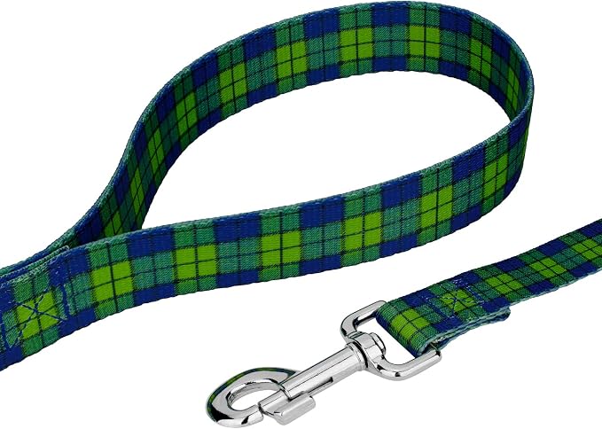 Country Brook Petz - Blue and Green Plaid Everyday Dog Collar and Leash - Plaid and Argyle Collection Featuring Charming Designs (1 Inch, Medium)
