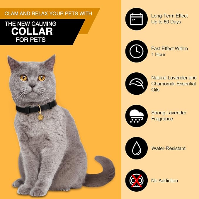 Weewooday 4 Pcs Cat Calming Collar Adjustable Pheromones Scent Relaxing Cat Collar with 2 Pendant for Puppies Reduce Stress Aggression Anxious, up to 15 Inches(Black)